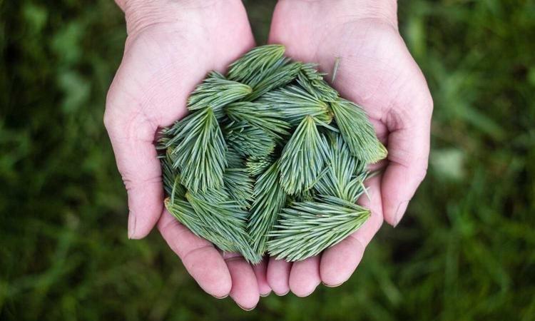 力量训练与减脂最新指南，科学方法与实践经验分享