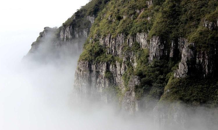 代谢损伤瓶颈突破，挑战与解决方案