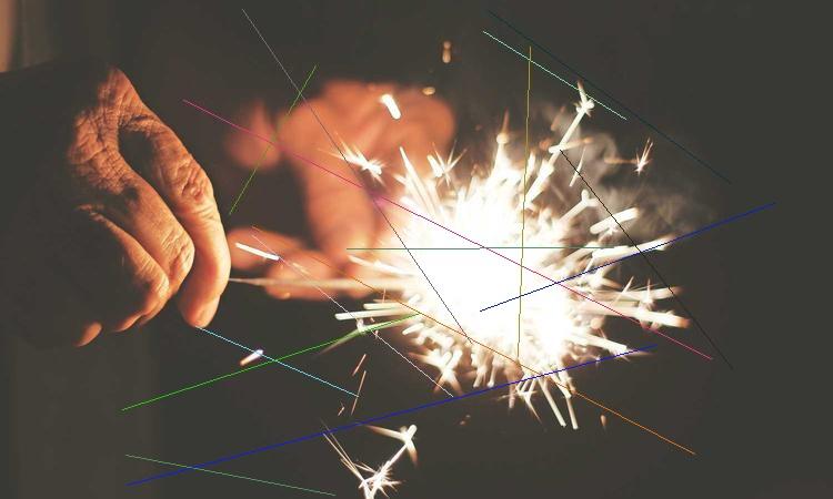 营养窗口年鉴，年度回顾与数据汇编