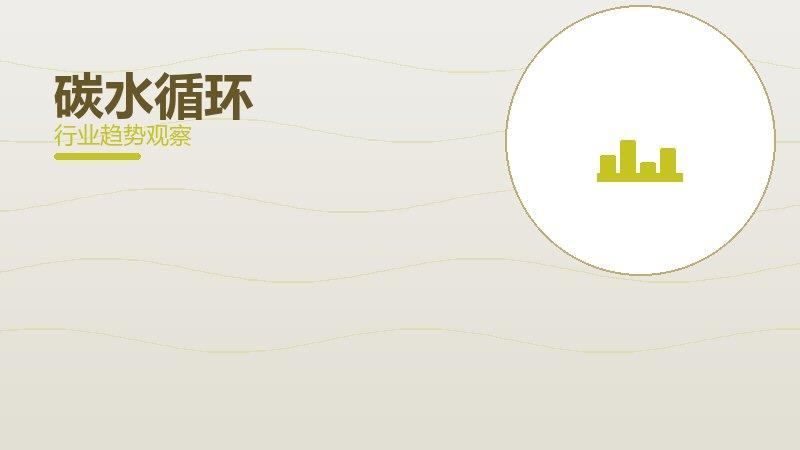 碳水循环价值泡沫，炒作与真实价值