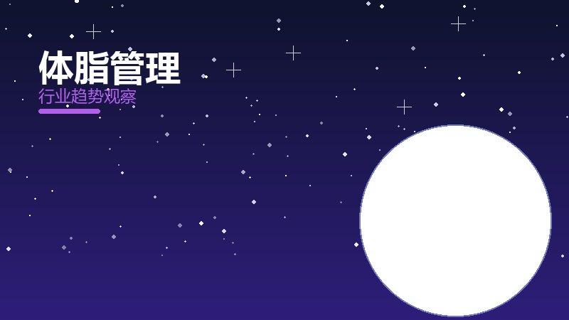 体脂管理决策框架，选型与权衡分析